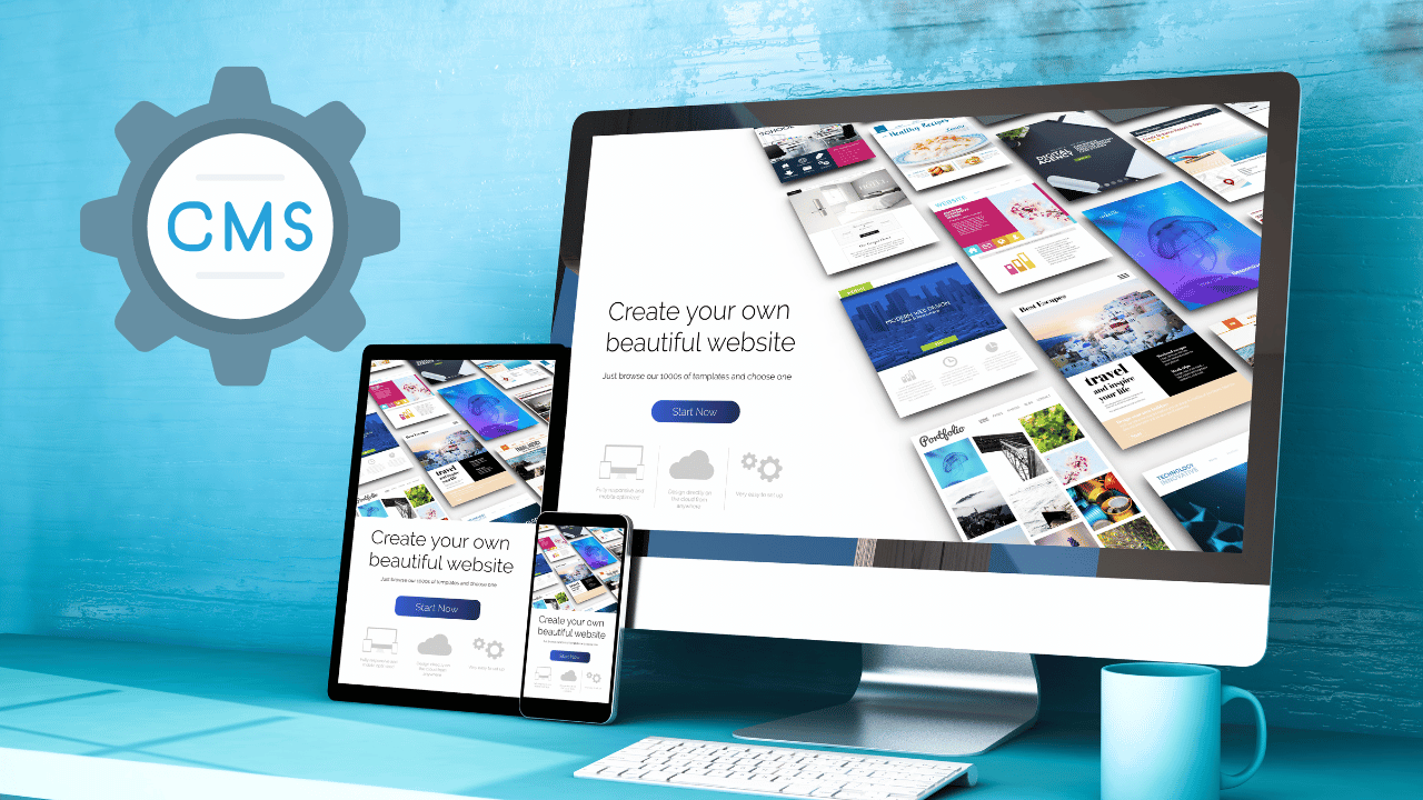 CMS Web Development By JMA Techsol